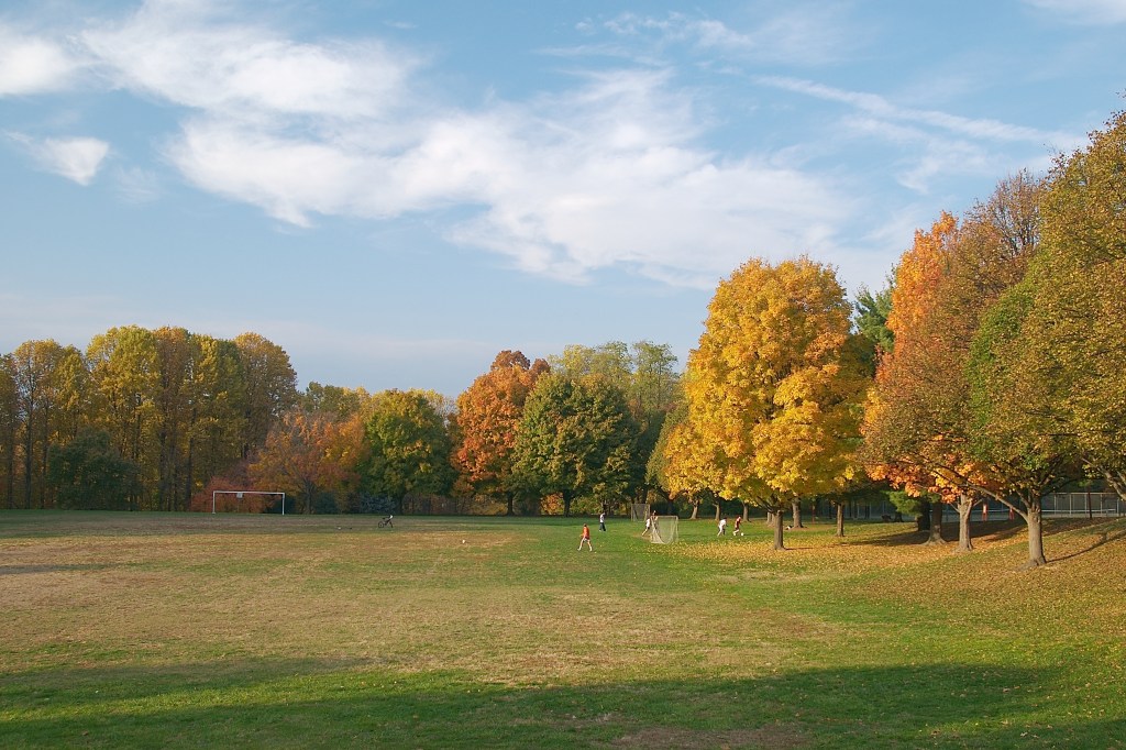 Van Dyck Park